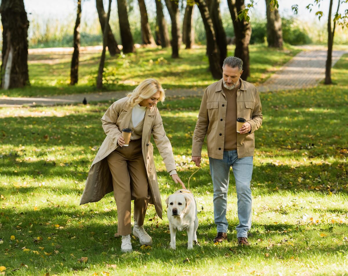 Middle aged couple  walking their dog in park