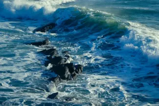 The Navigator: Guiding You Through Market Waves 🌊📈Chaos in the Headlines—Stay the Course