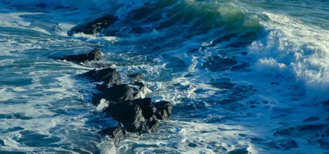 The Navigator: Guiding You Through Market Waves 🌊📈Chaos in the Headlines—Stay the Course